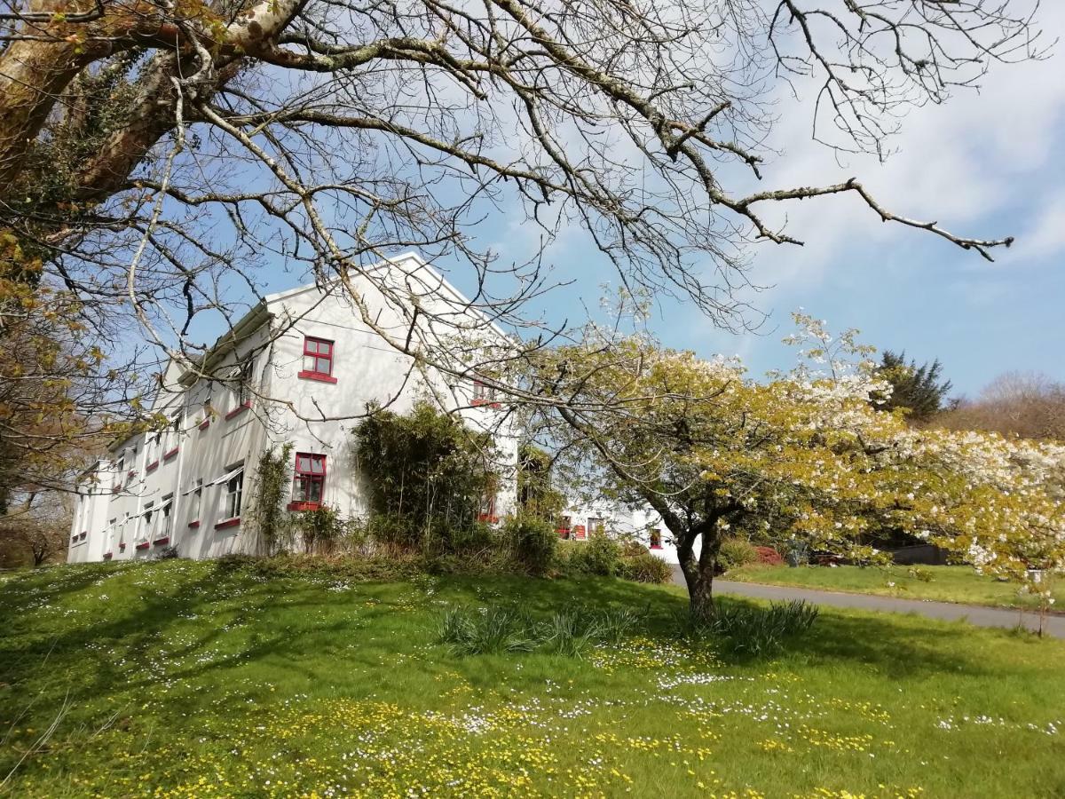 The Burren Hostel - Sleepzone Lisdoonvarna Esterno foto